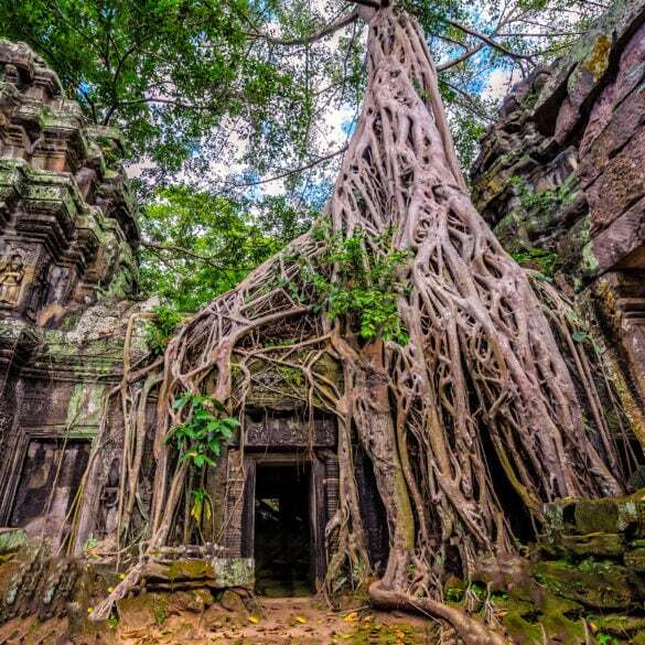 Dollarphotoclub_73953575-2-585x585-1